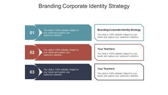 Branding corporate identity strategy ppt powerpoint presentation icon good cpb