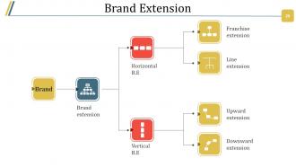 Branding Design Process Powerpoint Presentation Slides