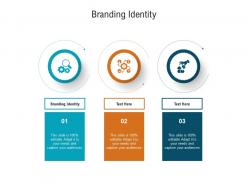 Branding identity ppt powerpoint presentation ideas structure cpb