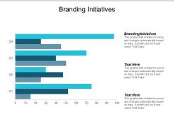 Branding initiatives ppt powerpoint presentation infographics example file cpb
