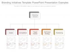 Branding initiatives template powerpoint presentation examples