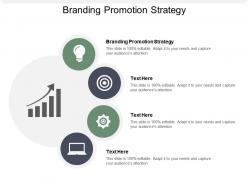 Branding promotion strategy ppt powerpoint presentation infographics introduction cpb