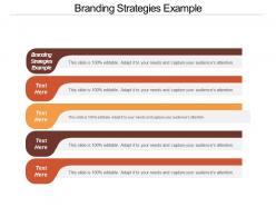 Branding strategies example ppt powerpoint presentation file diagrams cpb
