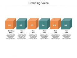 Branding voice ppt powerpoint presentation show cpb