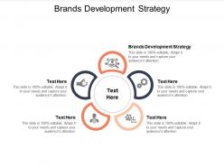 Brands development strategy ppt powerpoint presentation model format cpb