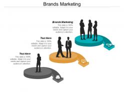 Brands marketing ppt powerpoint presentation file sample cpb