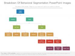 Breakdown of behavioral segmentation powerpoint images