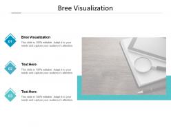 Bree visualization ppt powerpoint presentation outline brochure cpb