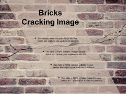 Bricks cracking image