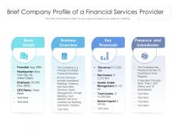 Brief Company Profile Of A Financial Services Provider