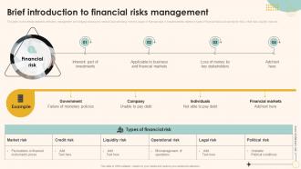 Brief Introduction To Financial Risks Management Ppt Infographic Template Backgrounds