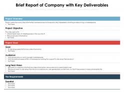 Brief report of company with key deliverables