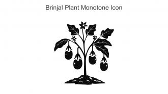 Brinjal Plant Monotone Icon In Powerpoint Pptx Png And Editable Eps Format