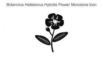 Britannica Helleborus Hybrids Flower Monotone Icon In Powerpoint Pptx Png And Editable Eps Format