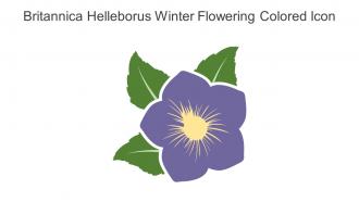 Britannica Helleborus Winter Flowering Colored Icon In Powerpoint Pptx Png And Editable Eps Format