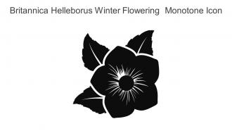 Britannica Helleborus Winter Flowering Monotone Icon In Powerpoint Pptx Png And Editable Eps Format