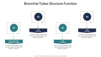Bronchial Tubes Structure Function In Powerpoint And Google Slides Cpb