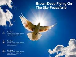 Brown dove flying on the sky peacefully