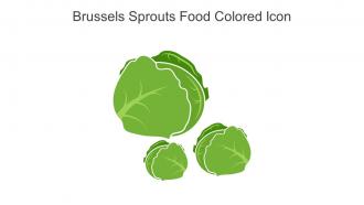Brussels Sprouts Food Colored Icon In Powerpoint Pptx Png And Editable Eps Format