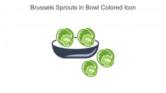 Brussels Sprouts In Bowl Colored Icon In Powerpoint Pptx Png And Editable Eps Format