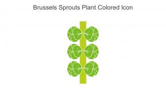 Brussels Sprouts Plant Colored Icon In Powerpoint Pptx Png And Editable Eps Format