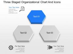 Bs three staged organizational chart and icons powerpoint template