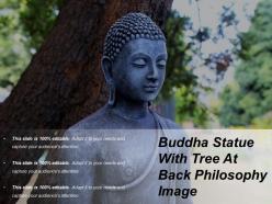 Buddha statue with tree at back philosophy image