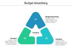 Budget advertising ppt powerpoint presentation gallery structure cpb