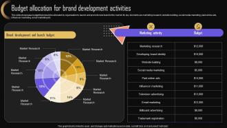 Budget Allocation For Brand Development Brand Strategy For Increasing Company Presence MKT SS V
