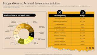 Budget Allocation For Brand Development Market Branding Strategy For New Product Launch Mky SS