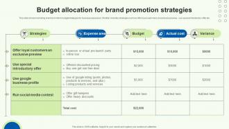 Budget Allocation For Brand Promotion Strategies