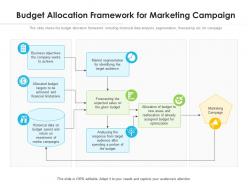 Budget allocation framework for marketing campaign