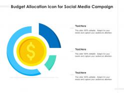 Budget allocation icon for social media campaign