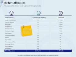 Budget allocation rebranding approach ppt slides