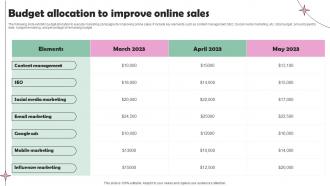 Budget Allocation To Improve Online Sales