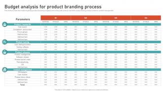 Budget Analysis For Product Branding Process Leveraging Brand Equity For Product
