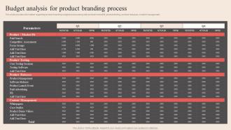 Budget Analysis For Product Branding Process Optimum Brand Promotion By Product