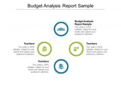 Budget analysis report sample ppt powerpoint presentation pictures model cpb