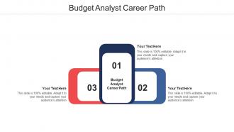 Budget analyst career path ppt powerpoint presentation styles show cpb