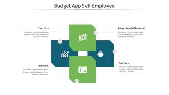 Budget app self employed ppt powerpoint presentation styles graphics design cpb
