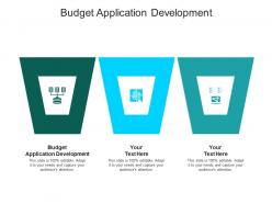 Budget application development ppt powerpoint presentation professional show cpb