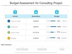 Budget assessment for consulting project