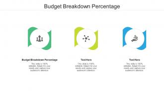 Budget breakdown percentage ppt powerpoint presentation portfolio summary cpb