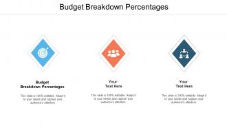 Budget breakdown percentages ppt powerpoint presentation styles graphic tips cpb