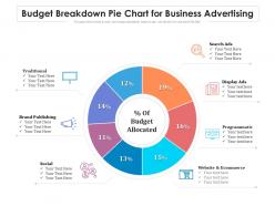 Budget breakdown pie chart for business advertising