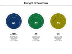 Budget breakdown ppt powerpoint presentation infographic template vector cpb