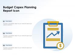 Budget capex planning report icon