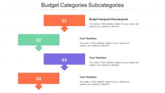 Budget Categories Subcategories Ppt Powerpoint Presentation Layouts Smartart Cpb