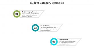 Budget category examples ppt powerpoint presentation pictures graphics cpb