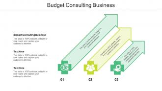 Budget consulting business ppt powerpoint presentation professional ideas cpb